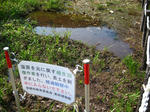 IMG_5063.JPG