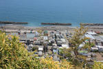 IMG_5170.JPG
