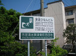 IMG_5205.JPG