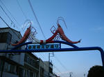 IMG_5261.JPG