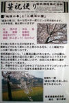 笹祝便り平成１９年５月