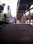 店前歩道20081219