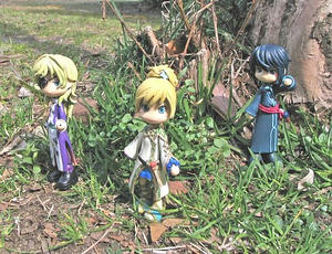 遙か４：柊・千尋･忍人