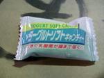 s-DCF_0167.jpg