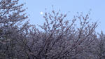 s-DSC01006.jpg