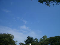 CIMG4977.JPG