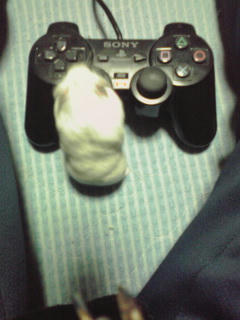 そこだ！そこでジャッジメントだ！！