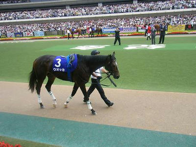 安田記念優勝馬ウオッカ殿♪