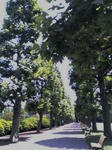 01-06-08_1216.jpg