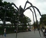 20090628104542.jpg
