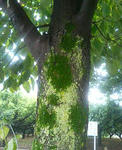 20090722094032.jpg