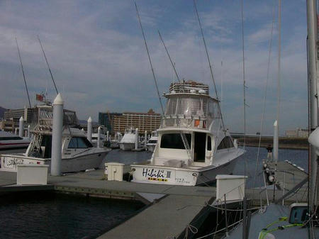 P1110653.JPG