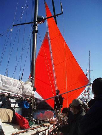 PC310131.JPG