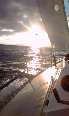 PA0_0409.jpg