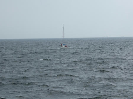 712d53e3.jpg