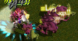 20071020_17.jpg
