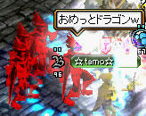20071028_9.jpg