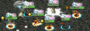 20071130_2.jpg