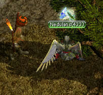 20071130_9.jpg