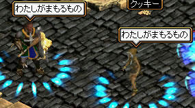 20080130_2.jpg