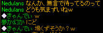 20080227_3.jpg