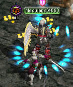 20080311_6.jpg