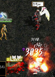 20080313_4.jpg