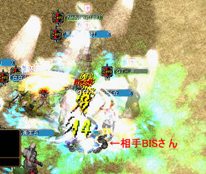 20080319_7.jpg