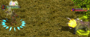 20080330_22.jpg