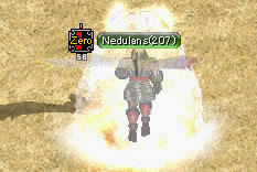 20080405_5.jpg