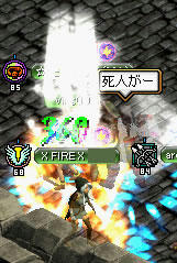 20080409_4.jpg
