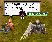 20080416_9.jpg