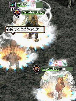 20080423_5.JPG