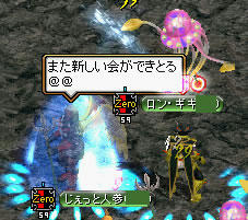 20080504_17.jpg