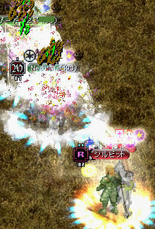 20080508_3.jpg