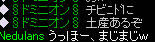 20080527_3.jpg