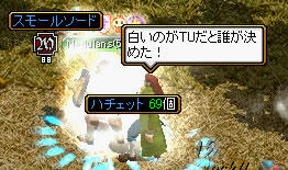 20080531_24.jpg