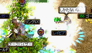 20080531_28.jpg