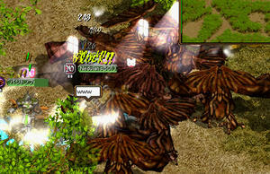 20080531_31.jpg
