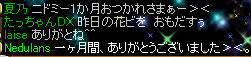 20080601_19.jpg