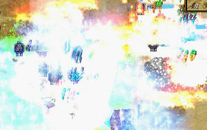 20080610_10.jpg