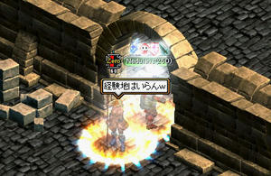 20080617_6.jpg