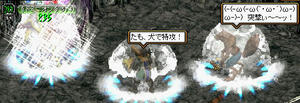 20080714_1.jpg