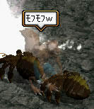 20080714_2.jpg