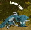 20080716_12.jpg