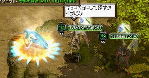 20080716_29.jpg