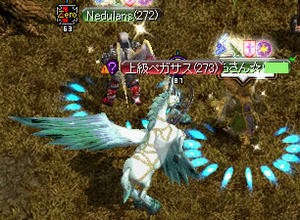 20080731_7.jpg