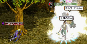20080806_5.jpg