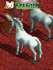 20080826_5.jpg