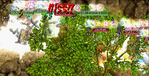 20080912_5.jpg